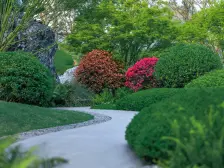 一楼端户带大花园,环境优雅,5层洋房 纯中庭