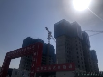 中国铁建·西派逸园在建工地