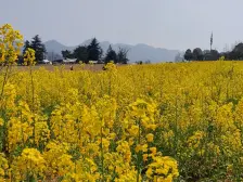 复盛 格力两江总部公园聆湖居三房63.8万