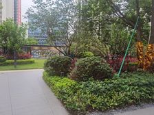 大岭山新小区全屋精致装修适合改善居住