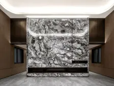 龙湖北岛 4室2厅 南 东南