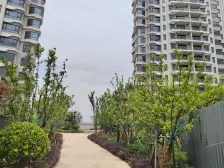 小区环境好 景观楼层 急售 税少