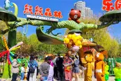 实景图