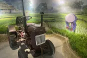 实景图