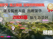 林栖谷