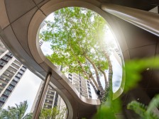 上叠视野好,采光好,有大平台,使用率高