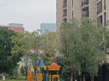 中央公园 保利中央云璟观蘭府四房145万