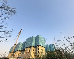 卓越·朗宋3室2厅南北