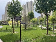 东方丽城中间楼层南前排南向两居,业主诚心出售