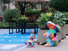 空港新城 首钢铂鹭风华4号地块三房80万