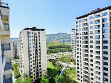 首钢铂鹭风华 123.99平4居 南向毛坯 着急出售