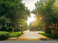 天润香墅湾1号,采光好,视野宽阔,绿化好