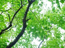 江山颂 横厅三房双卫 落地窗,新风 地暖 zy空调