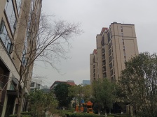 保利央企 居住安静 改善自住 业主诚心带花园