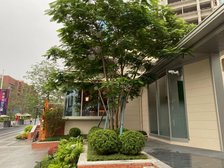 精装大三房南向大花园楼下地铁商圈