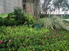 万达广场 汇悦悦庭三房57.5万