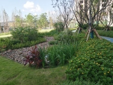 万达广场 汇悦悦庭三房49.5万