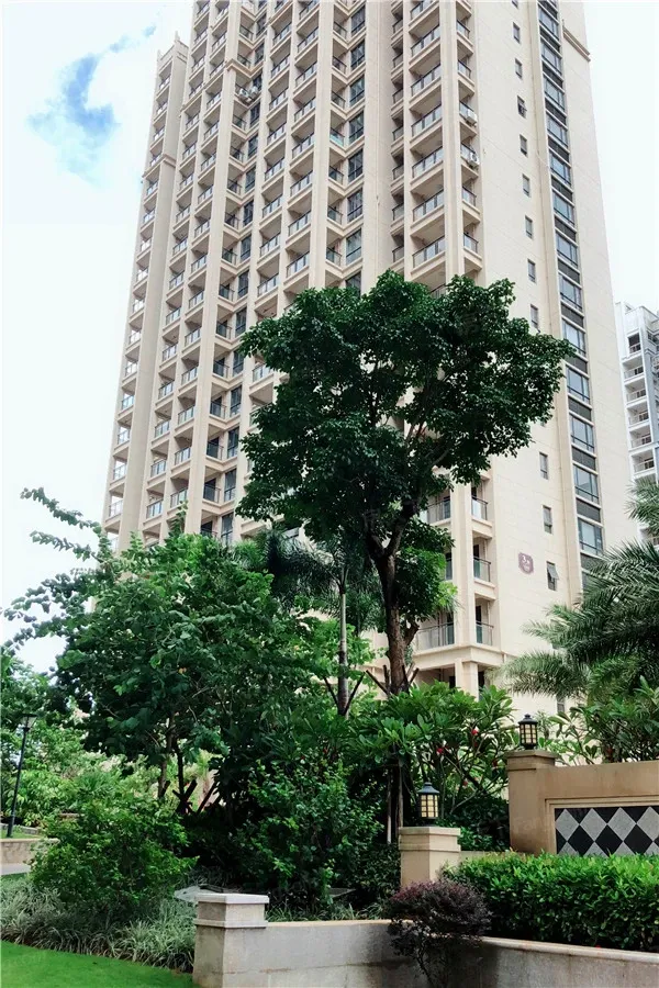 鸿嘉金龙湾暂无房源可售