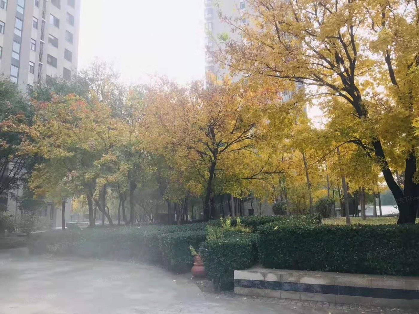 小区图