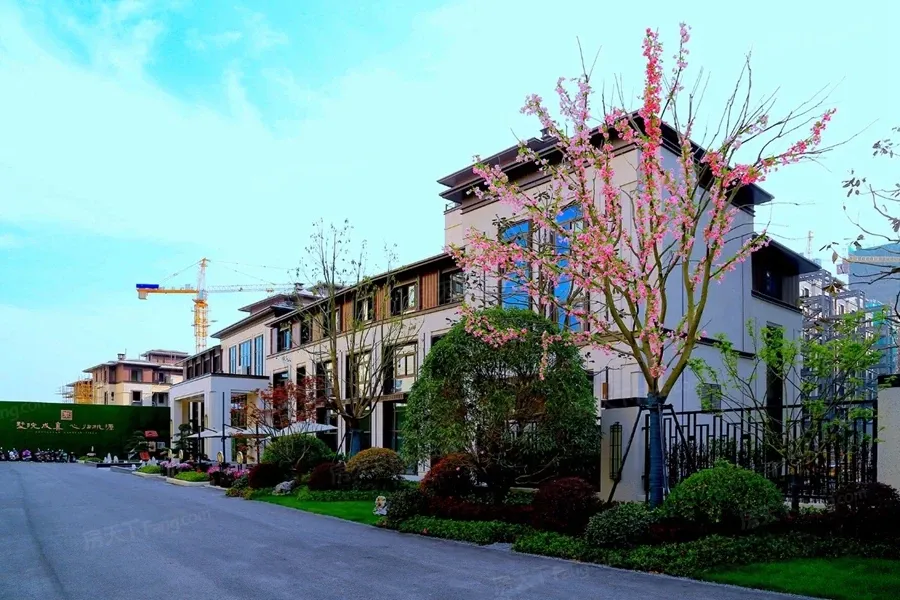 中远桃源墅业主论坛- 扬州房天下