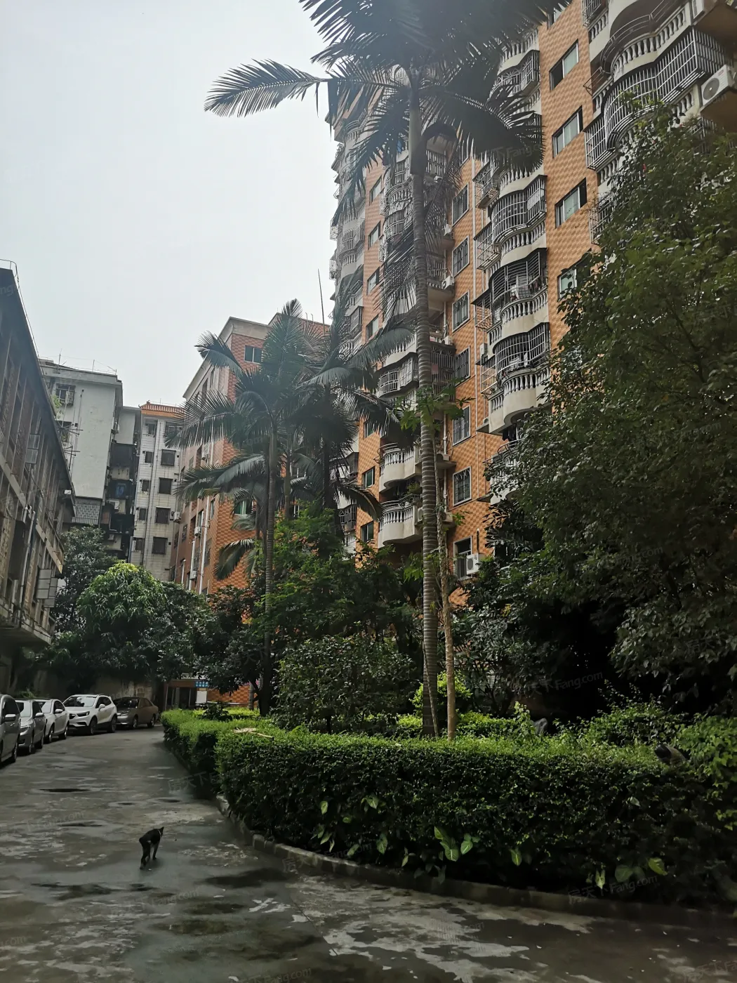 惠州滨江大厦怎么样?滨江大厦均价与配套指导分析