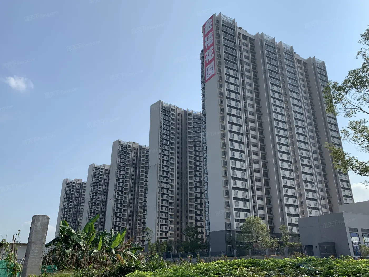 富力英皇金禧花园怎么样?去了才知道,手机实拍绝无ps!