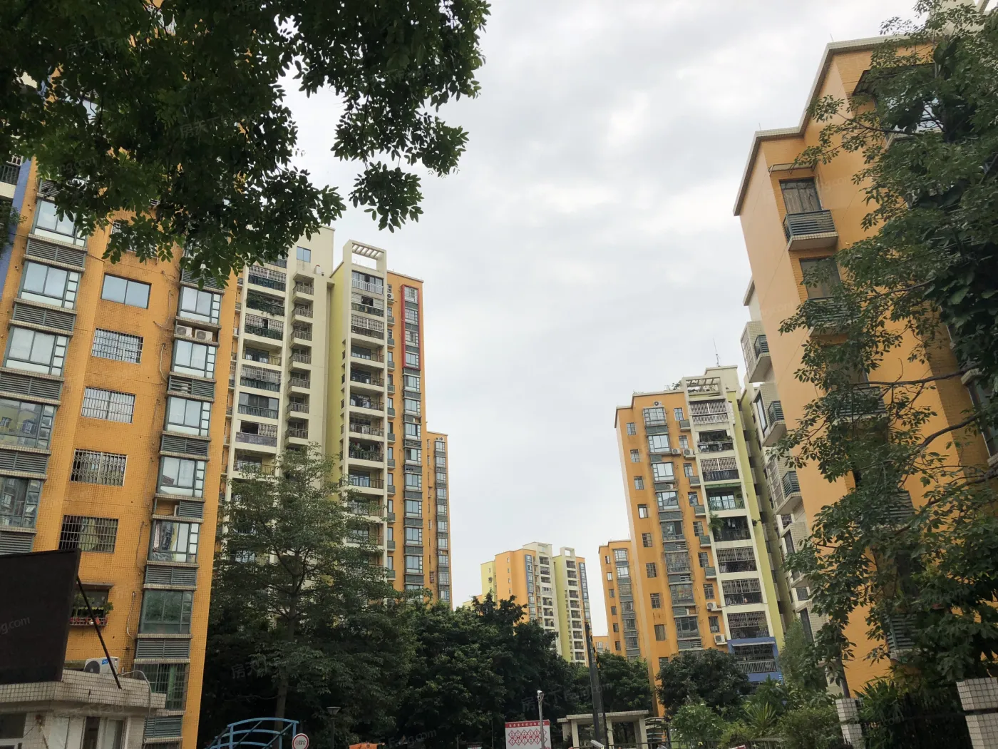 金沙洲新社区实景图