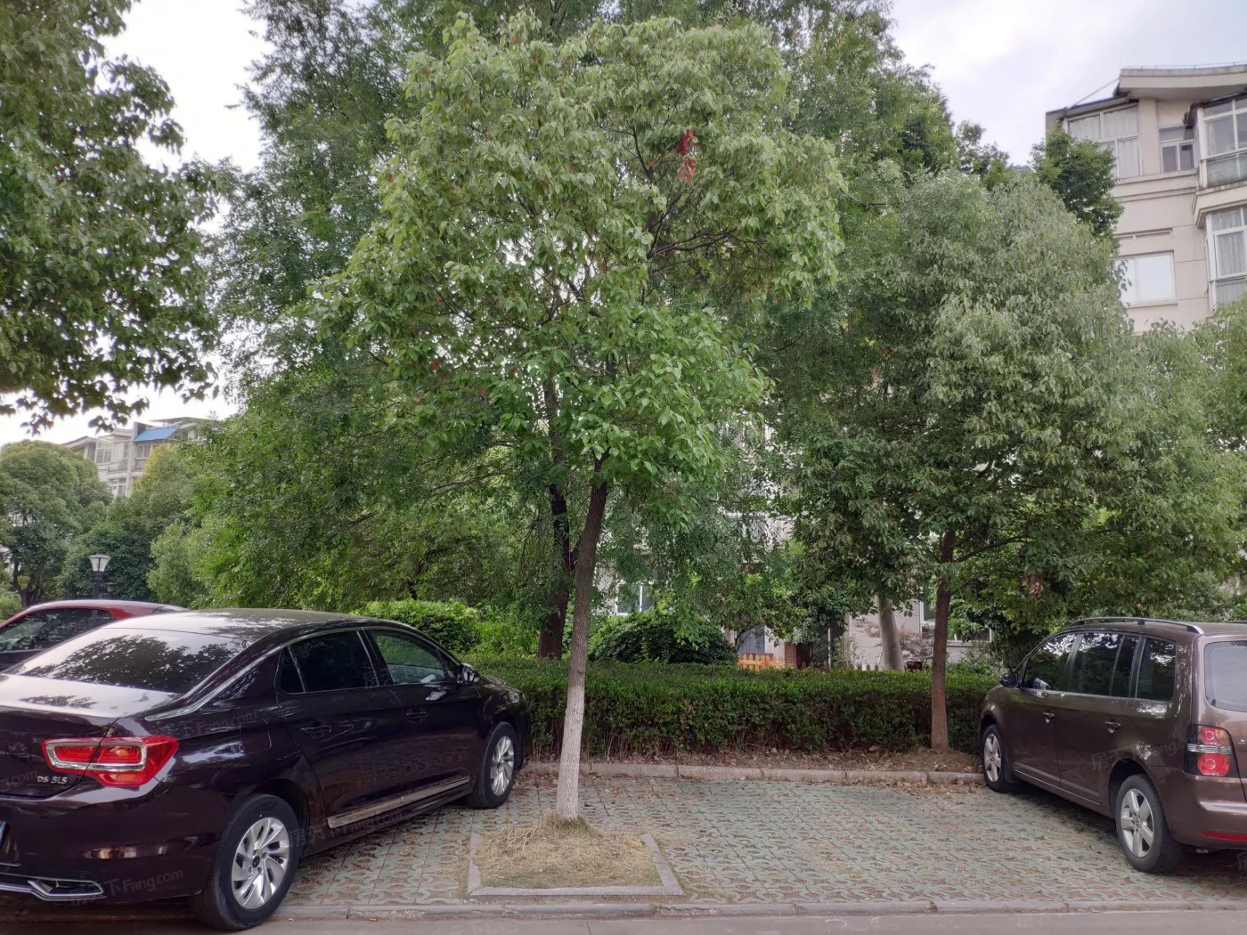 香溢俊园月馨苑旁兆丰花园精装三房 好楼层拎包住香梅解小