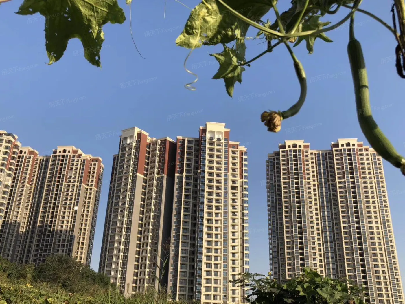 【高清图】新慧御湖城怎么样?实探感受:我看行!