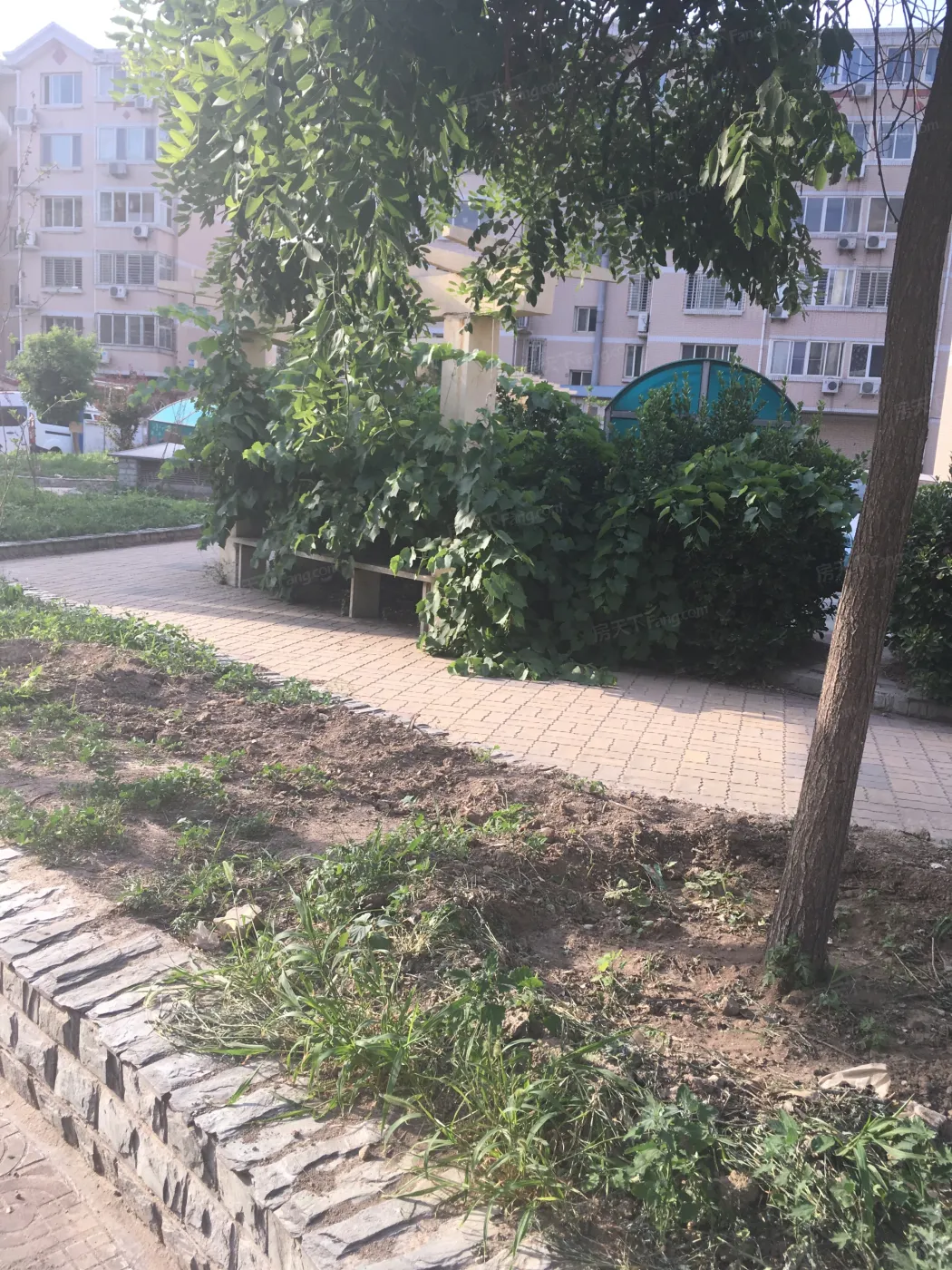 保定盛景园怎么样?盛景园地理位置及房价分析-保定房天下