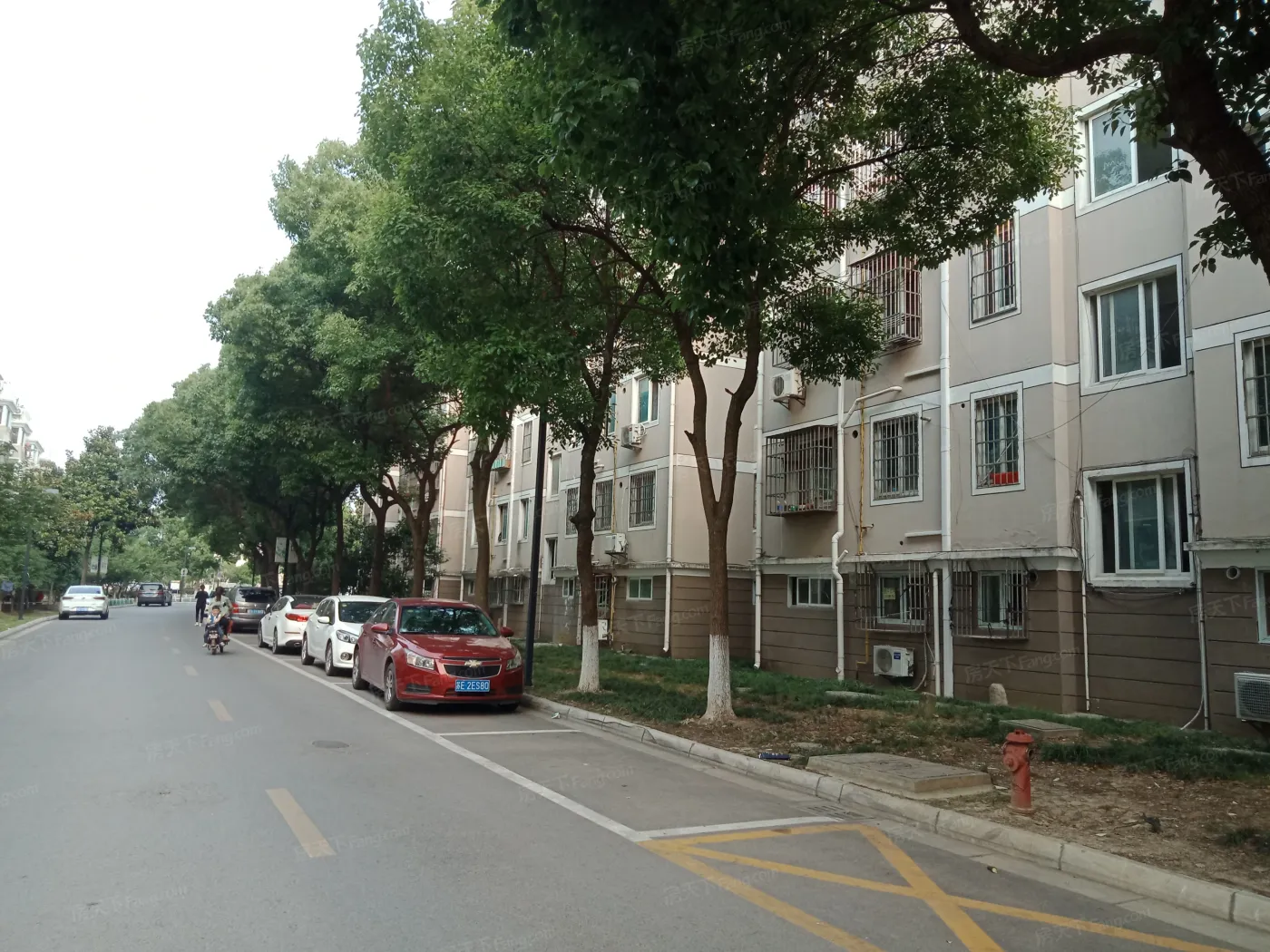 查看莲花新村五区靠谱人气经纪人