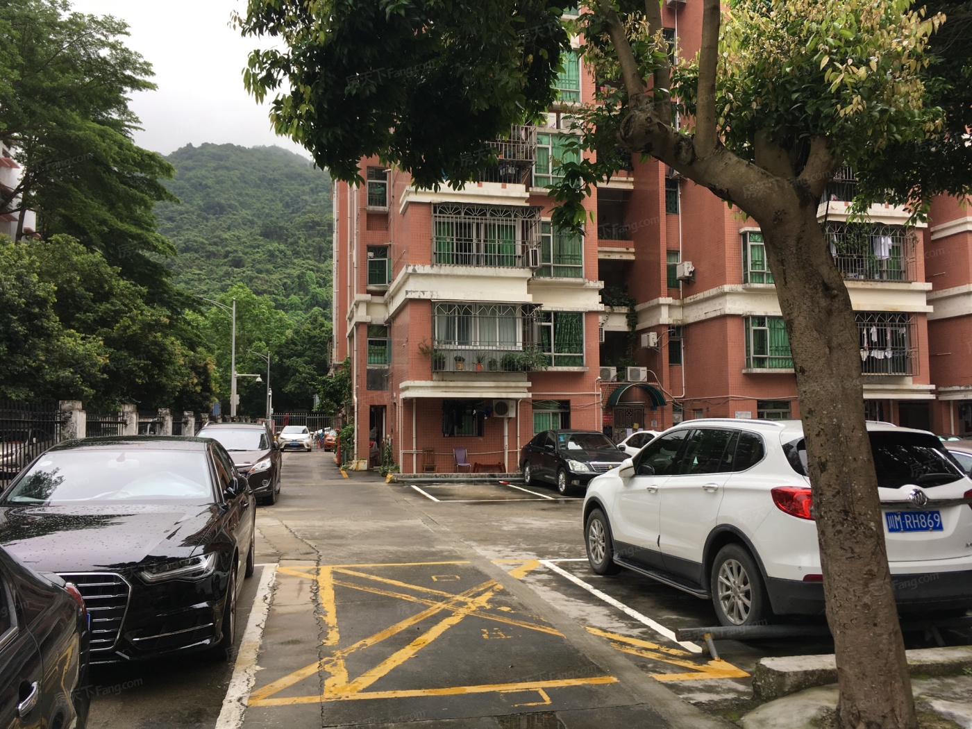深圳梧桐苑怎么样梧桐苑价格与地址地段解读