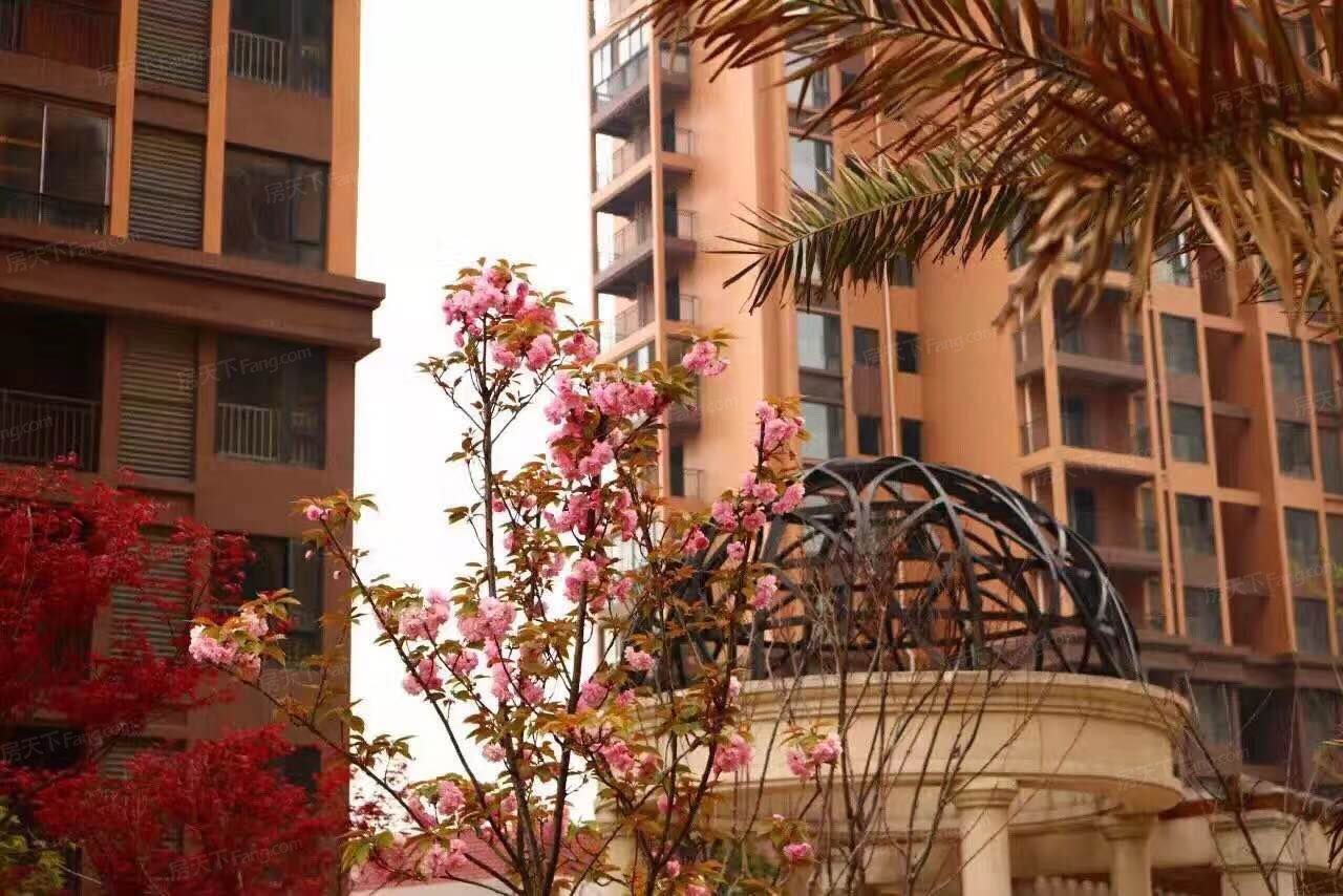 紫菱东岸预计9月底加推17号楼