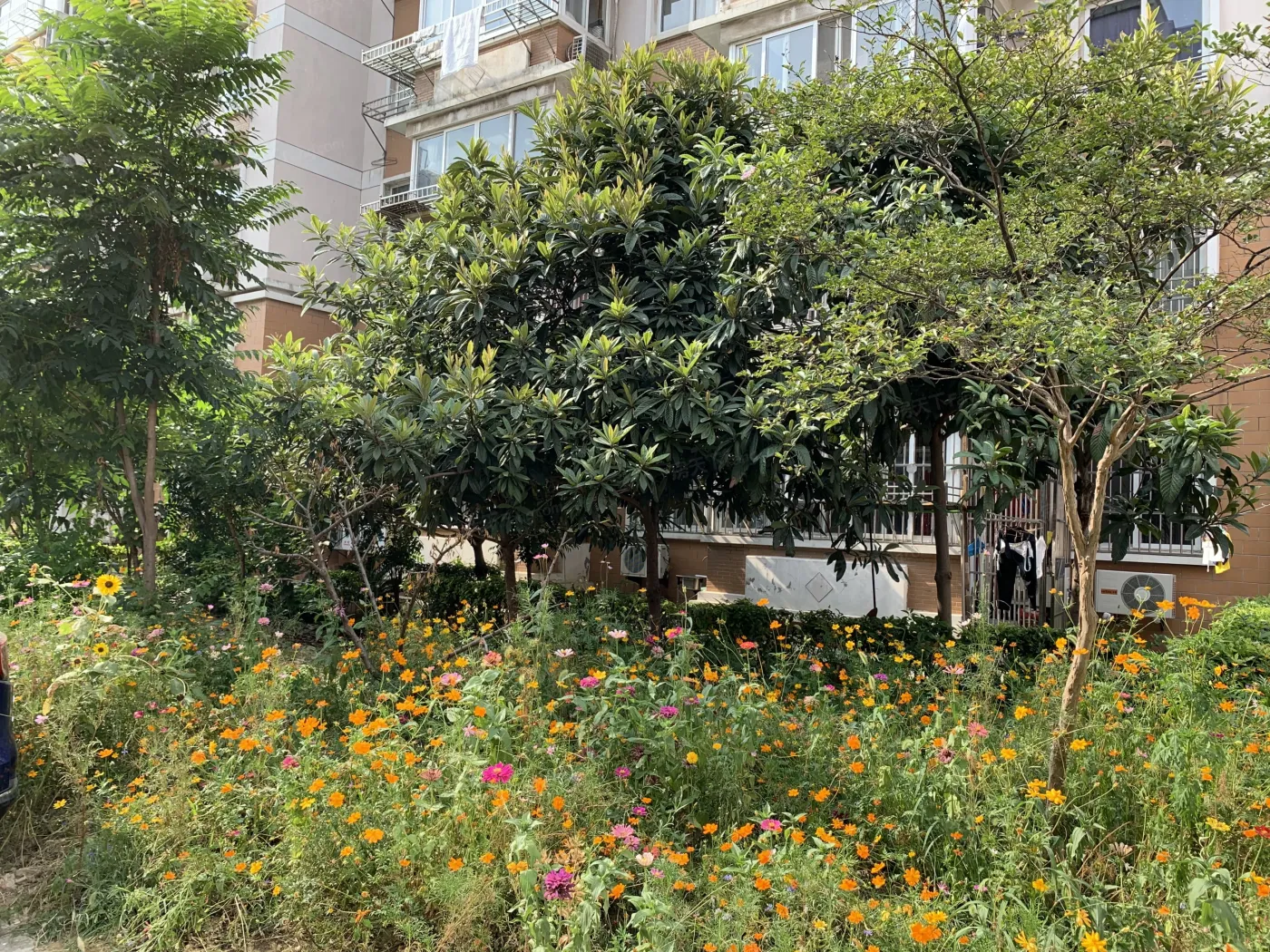 无锡二泉花园怎么样二泉花园房价地址房源盘点