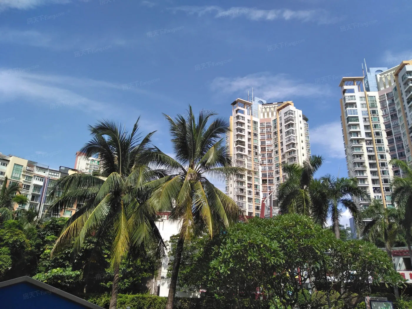 东南朝向看花园二改三特殊户型,用心设计,采光贼好