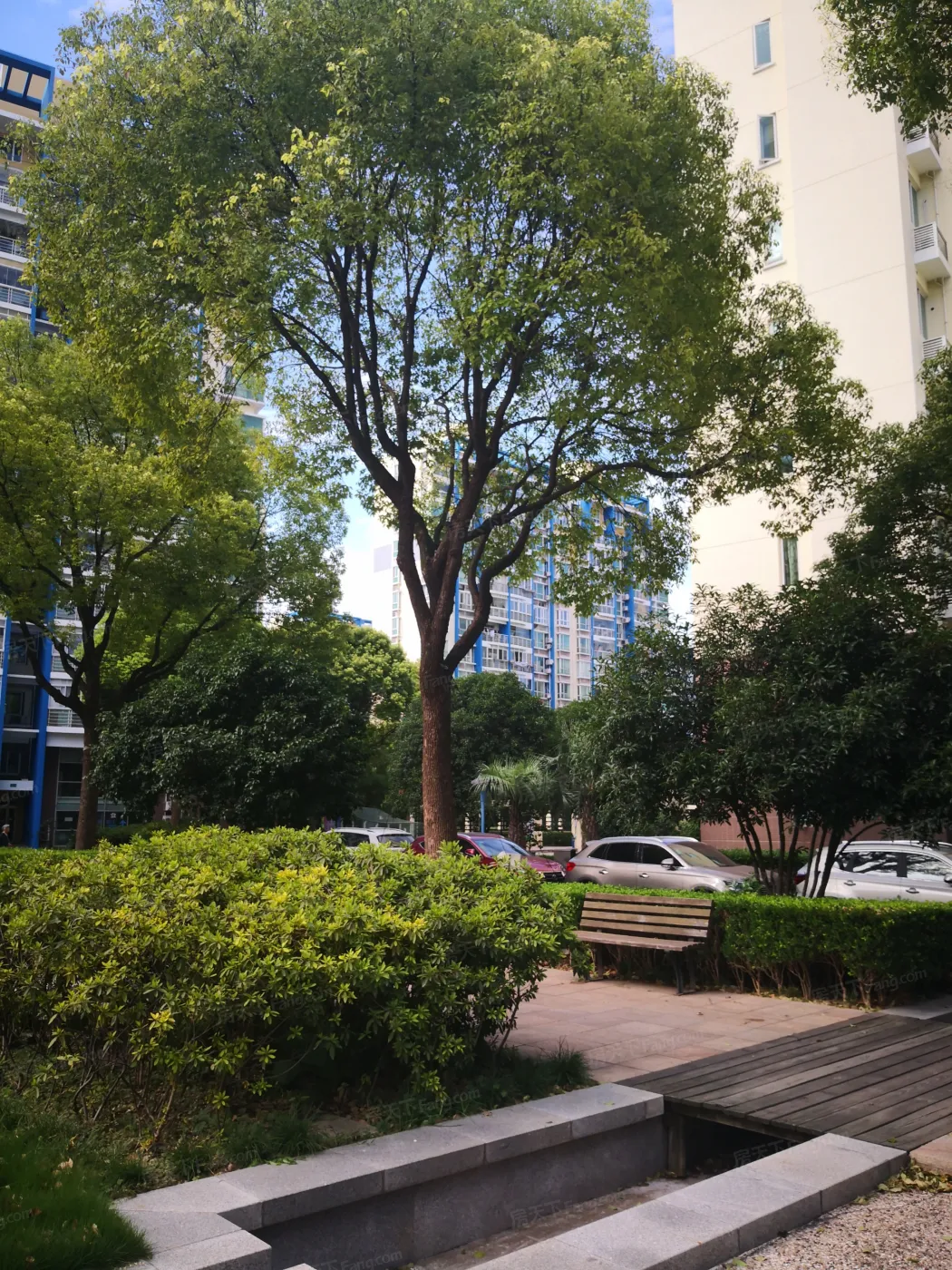 蔚蓝城市花园实景图-环境绿化