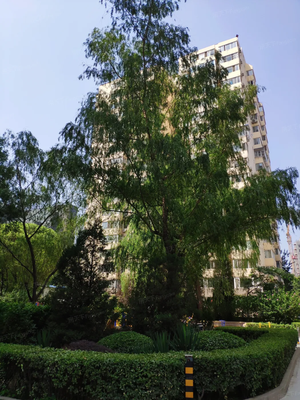 水清木华园地址,户型和价格全览