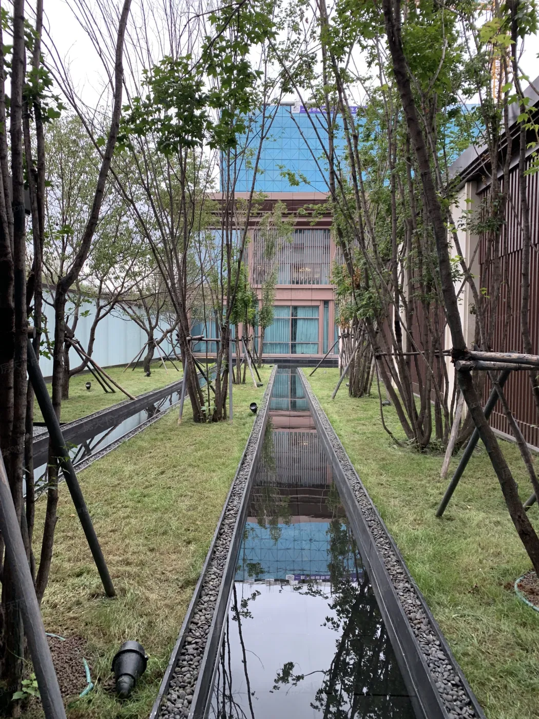 实景图:园区水系景观