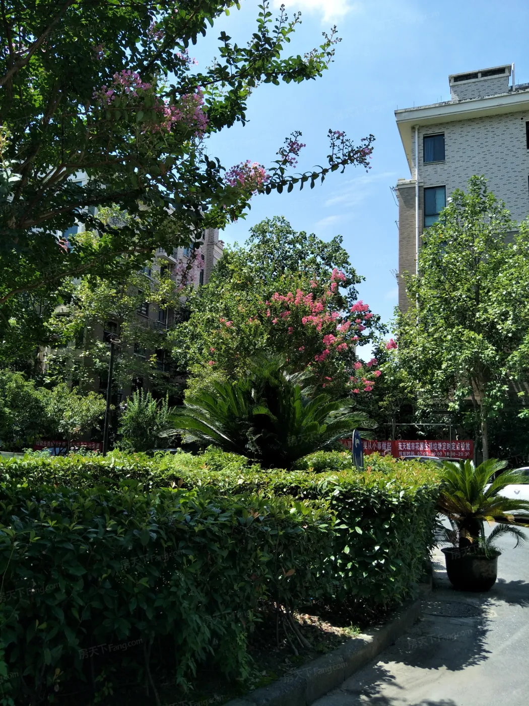 蓝天城市花园实景图