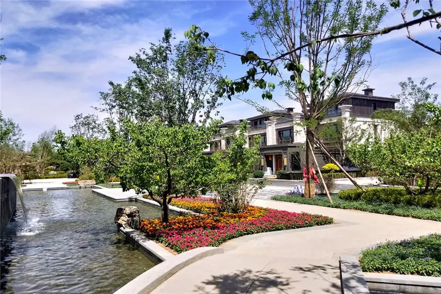 大同府二期观和院子业主论坛- 大同房天下