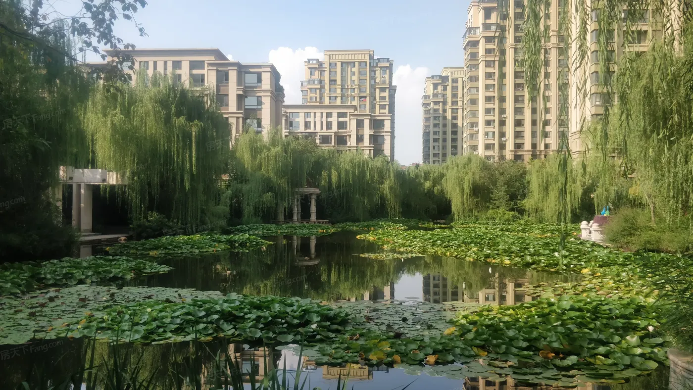 12盛大开启_九洲御玺-沈阳房天下