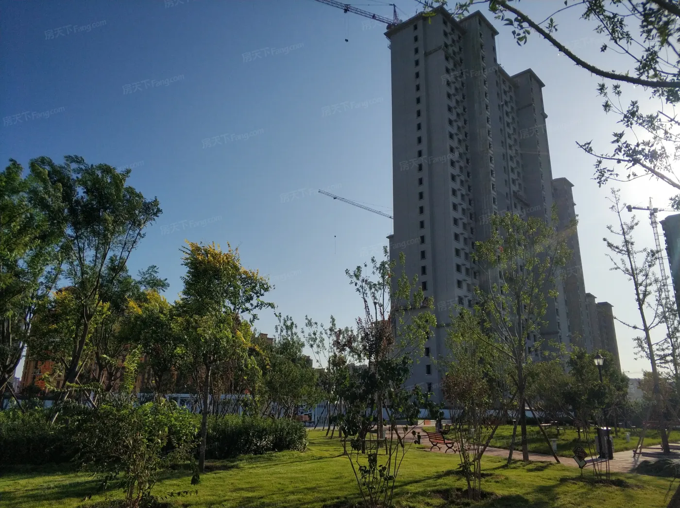 【美图】星河湾·荣景园怎么样,看图见分晓!