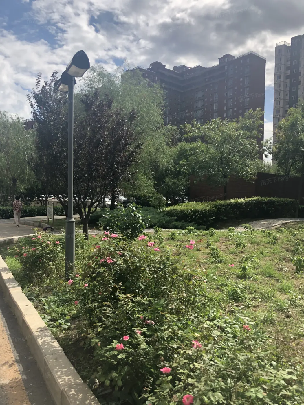 小区图