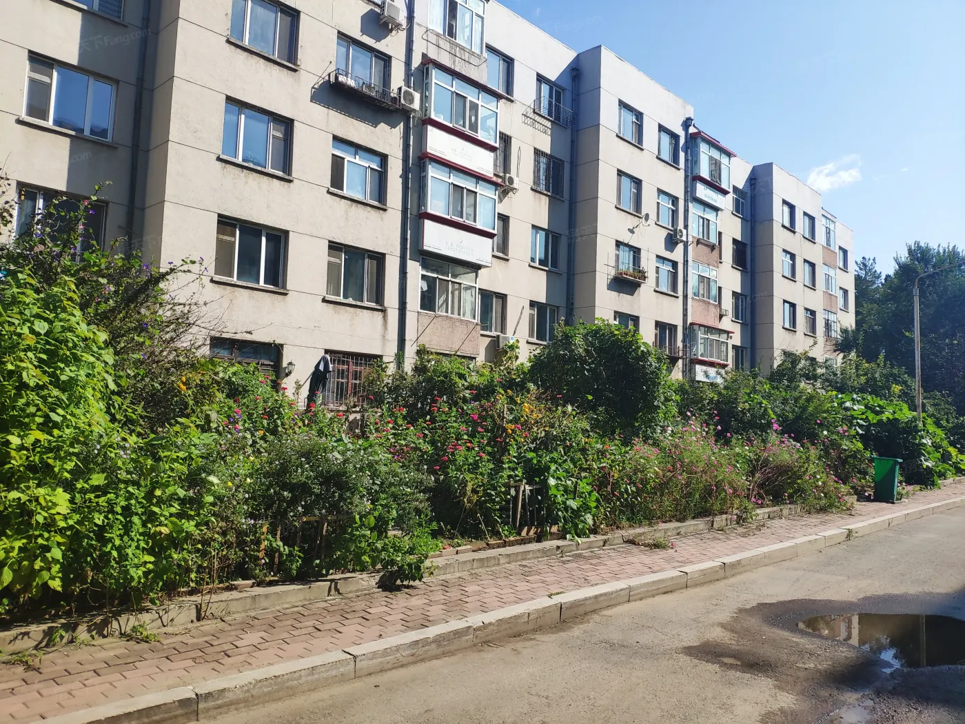 林大家属楼地址房价及周边配套介绍