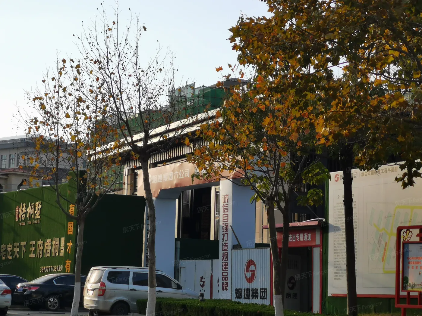 关于金象泰梧桐墅,你可能不知道的……-金象泰梧桐墅业主论坛- 烟台房