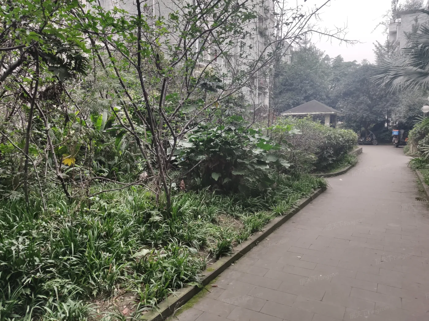 丹桂苑房价周边及小区详情介绍?-成都房天下