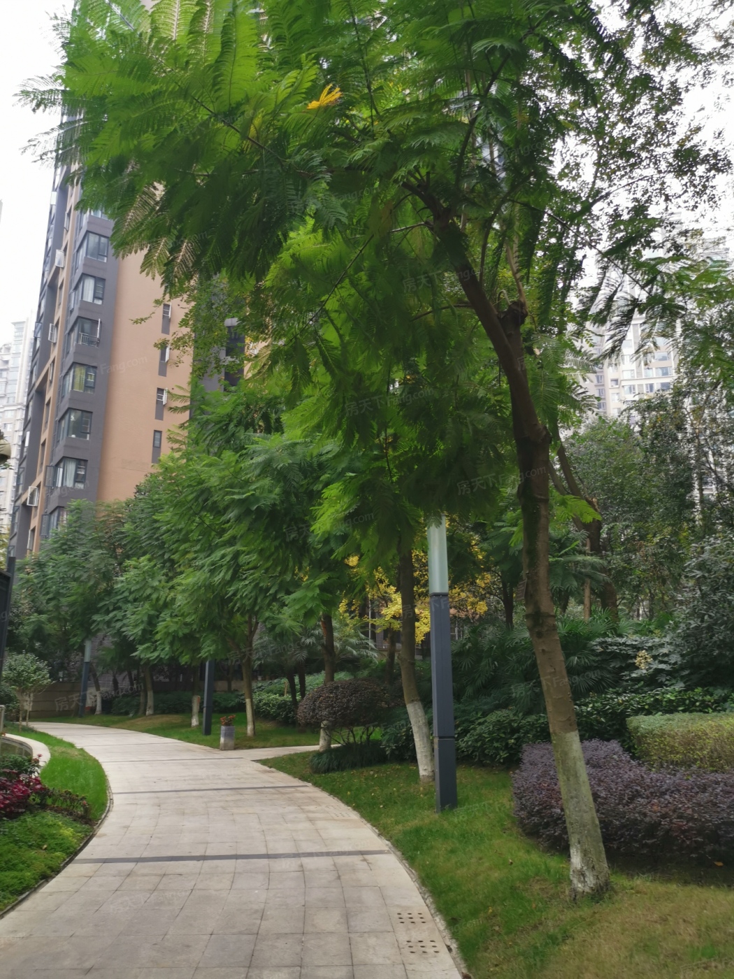 (必看好房)大源,精装套六,,地铁口,朝东南,成都高新大源华润凤凰城