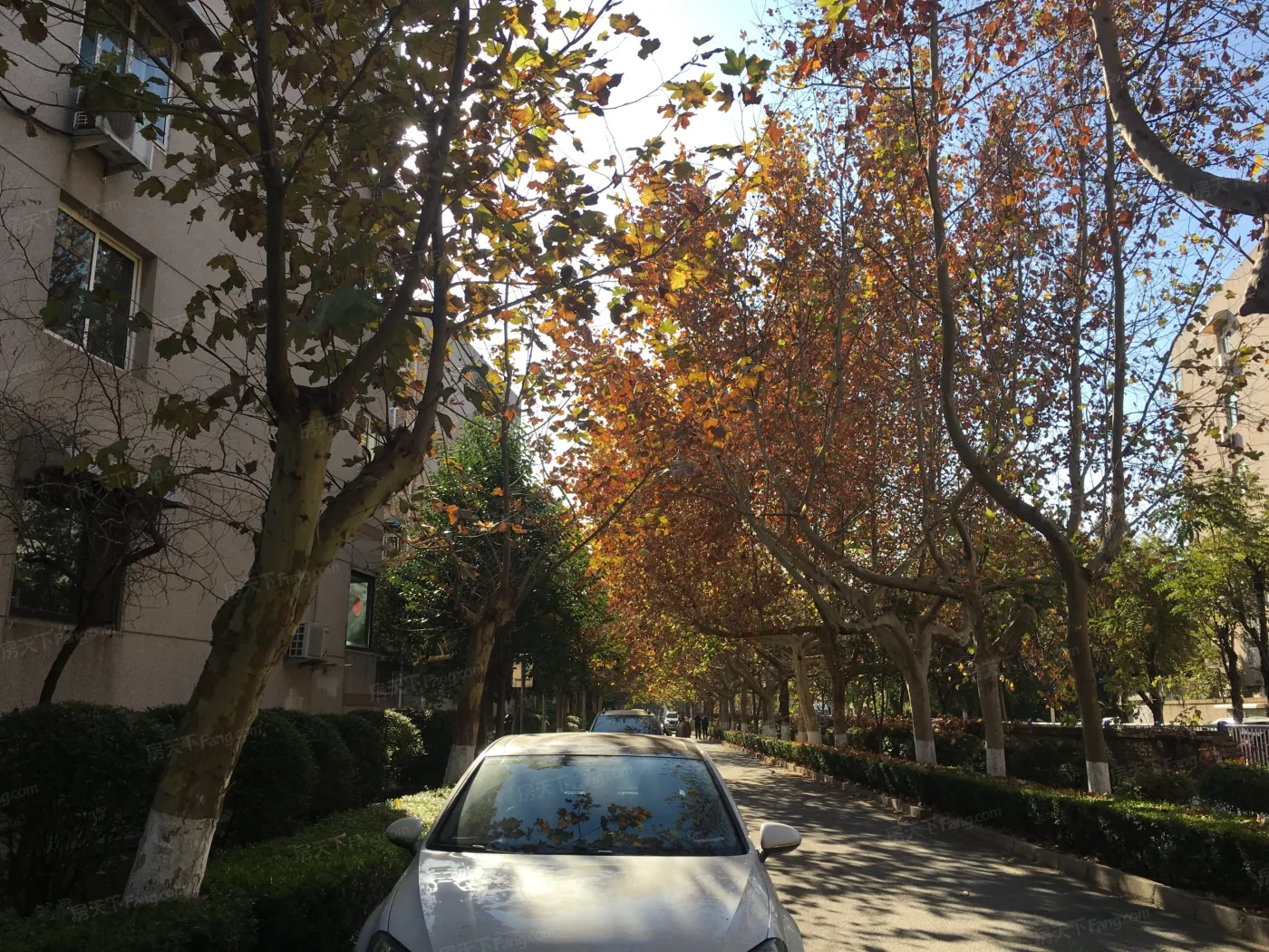 济南八里桥小区怎么样?八里桥小区地址在哪?房价如何