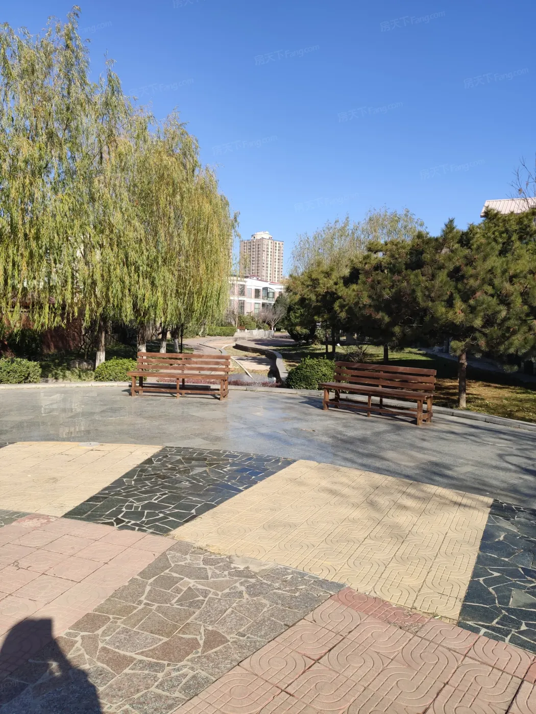 一栋洋房实景图-环境绿化