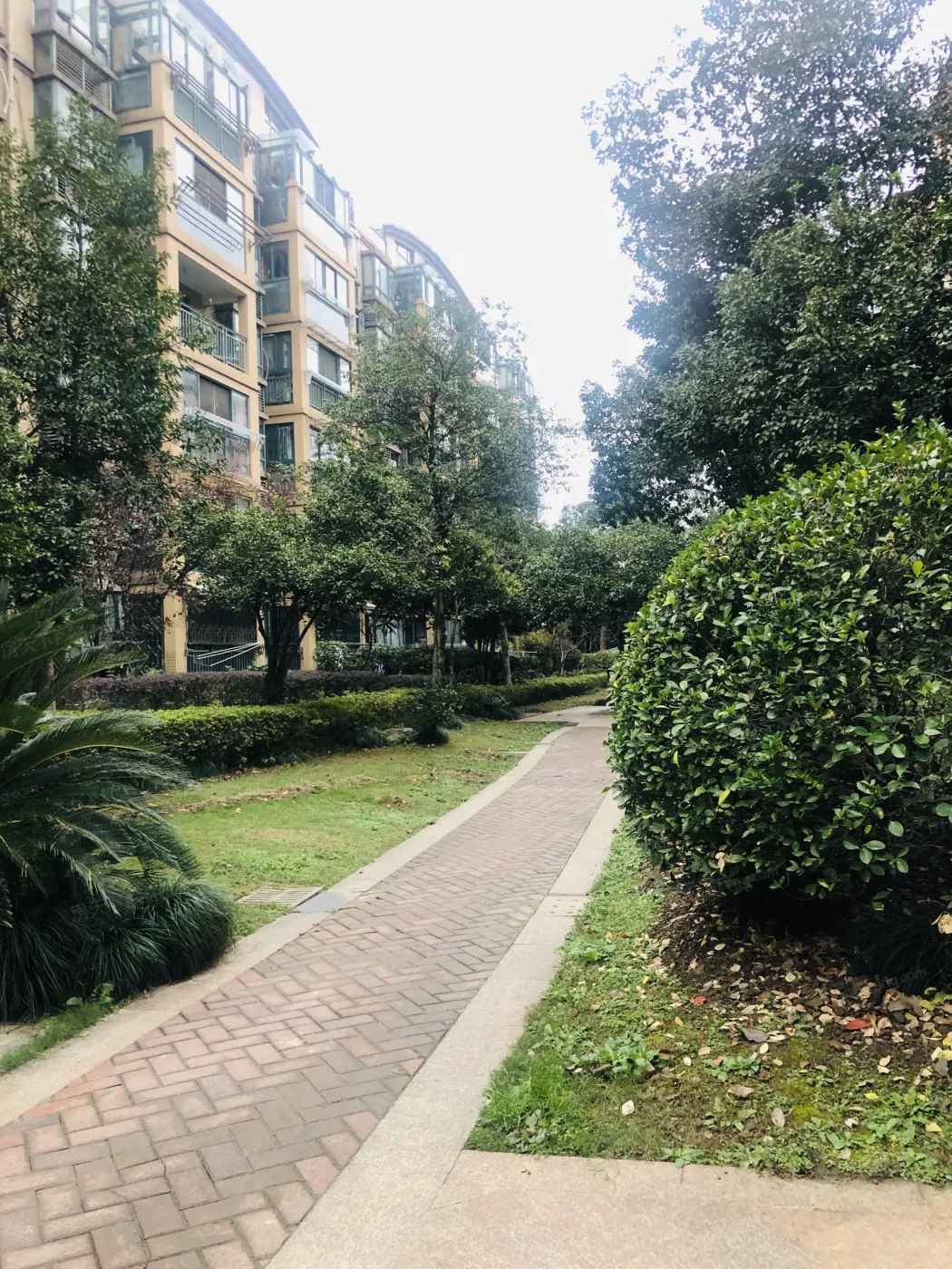 杭州盛世嘉园怎么样盛世嘉园地址价格及户型介绍